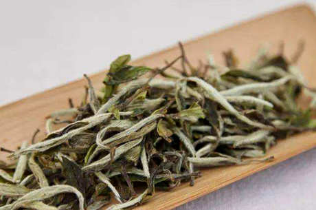 福安大白茶的特点