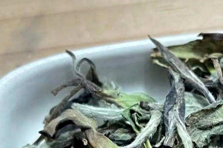 白牡丹干茶的外观特点