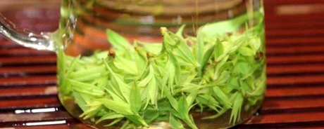 舒茶早茶的特点是什么？