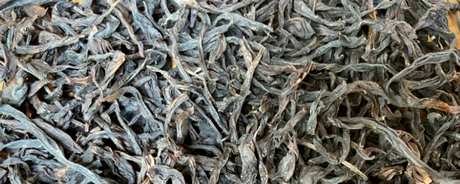 蜜兰香茶的特点和味道