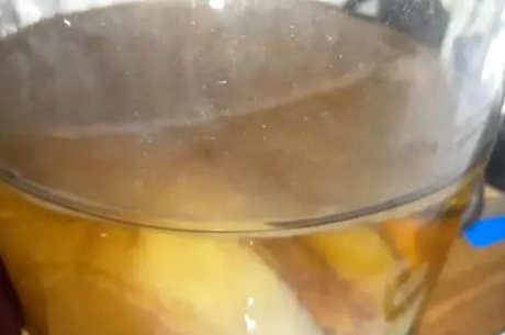 制作红茶菌株的方法