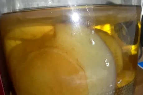 制作红茶菌株的方法