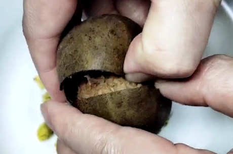 罗汉果泡水方法正确