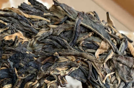 高黎贡山茶的特点