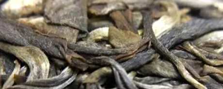 曼撒古树茶的特点