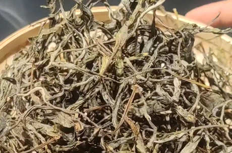 哪种普洱茶好？