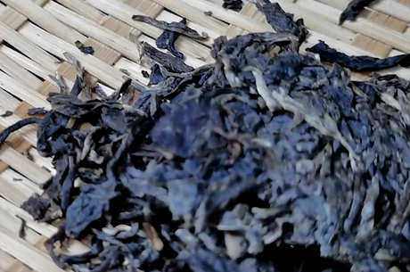 哪种普洱茶好？