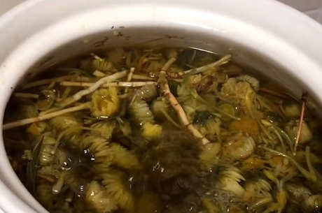 菊花最好和什么一起泡