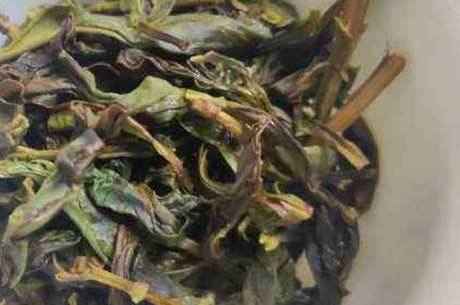 芝兰香茶的特点