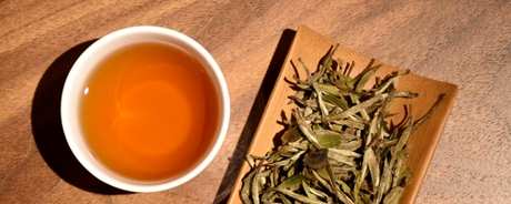 白牡丹茶的特点