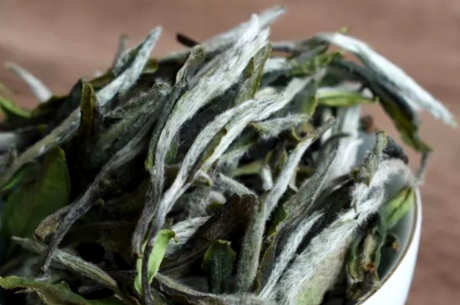 白牡丹茶的特点