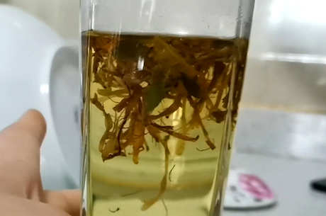 秋季养生茶有哪些？