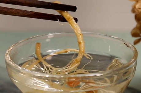 秋季养生茶有哪些？