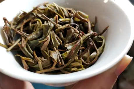 猫耳朵茶的特点
