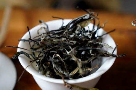 姑娘寨古树茶的特点