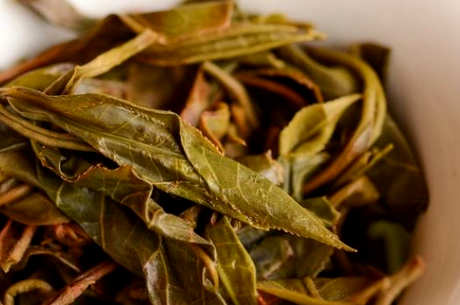 玉贡茶园生茶的特点