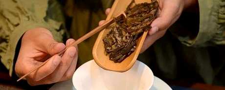 刮风寨生茶的口感特点