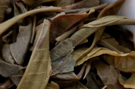 那卡古树茶的味道特征