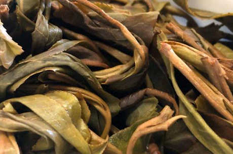鹿山古树普洱茶的特点