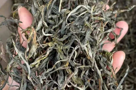 鹿山古树普洱茶的特点