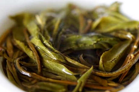 曼糯古树茶的口感特点