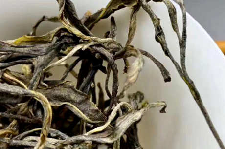易武曼松贡古树茶的特点味道
