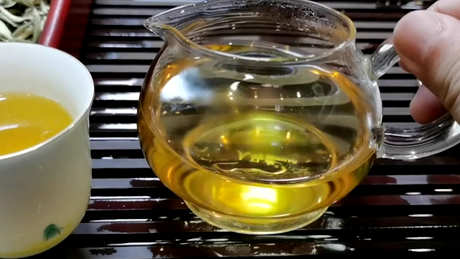月光白属于白茶还是普洱茶