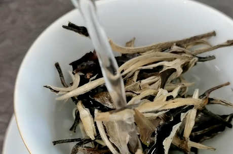 月光白属于白茶还是普洱茶
