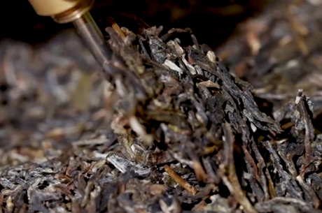 易武茶区最著名的山头是什么？