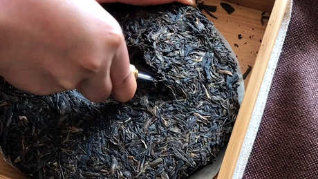如何唤醒普洱茶