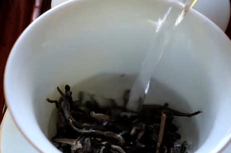 六大普洱茶产区和六大茶山