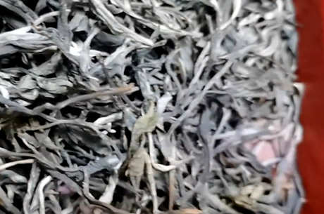 六大普洱茶产区和六大茶山