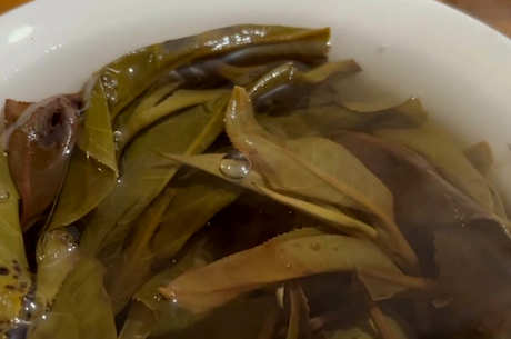 六大普洱茶产区和六大茶山