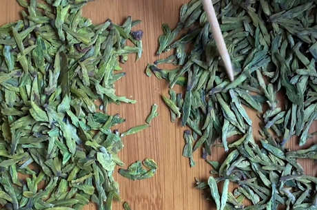 龙井茶属于什么品种？