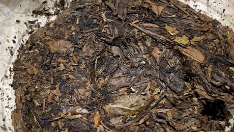 正确冲泡老白茶的方法