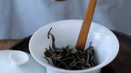 薄荷塘普洱茶的特点