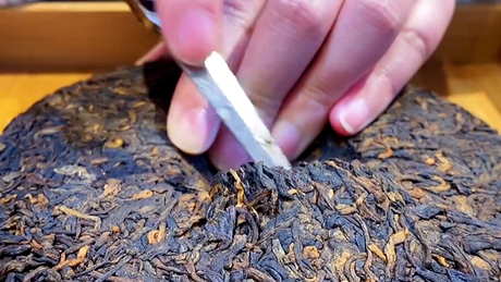 古树普洱茶怎么泡？
