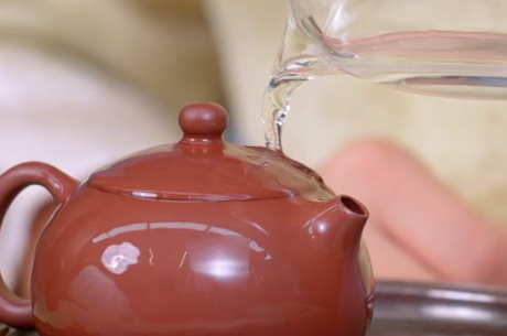 古树普洱茶怎么泡？
