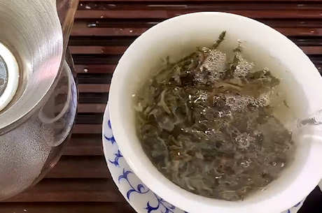 刮风寨古树茶的特点
