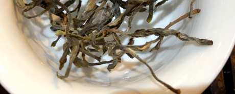 倚邦古树茶的味道特点