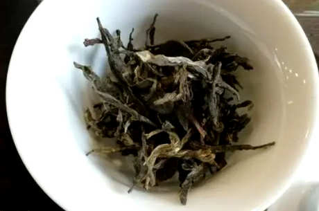 倚邦古树茶的味道特点