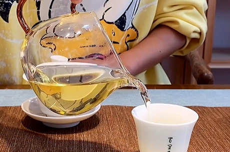 白莺山古树茶的特点