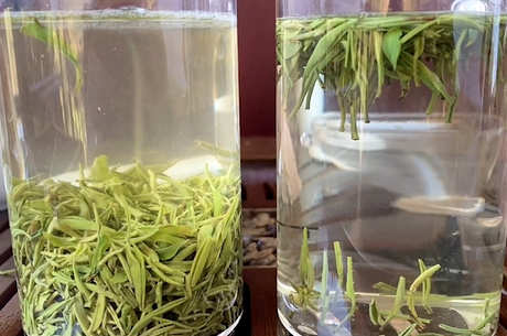 茶叶有保质期吗？