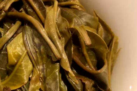 班章茶的特色口感