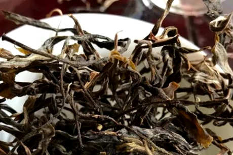 刮风寨古树茶的地址及特点