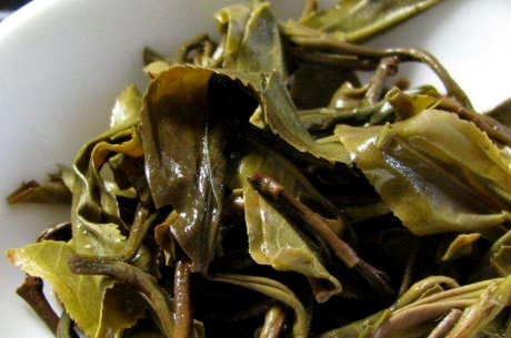 刮风寨古树茶的地址及特点