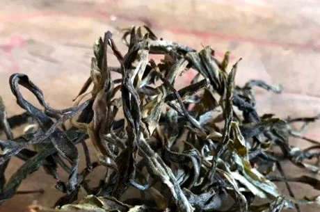 白莺山古树茶的口味特点