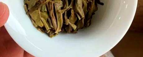丁家寨古树茶的口味特点