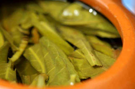 老班张普洱茶的特点