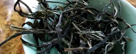 了解古树茶的口感特点